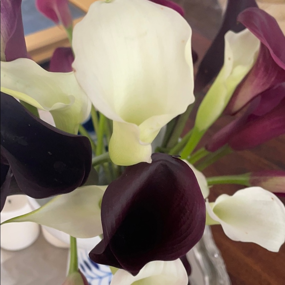 Meet your Posher, Francesca